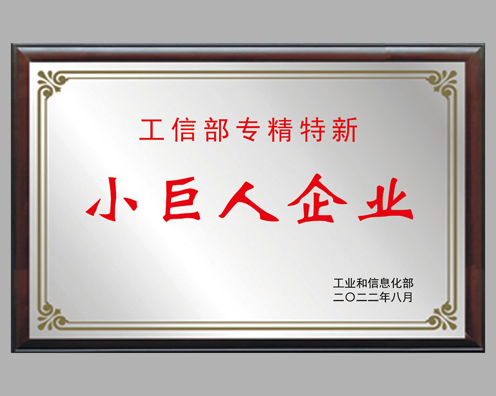 國家專精特新小巨人企業